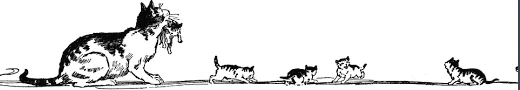Profile banner
